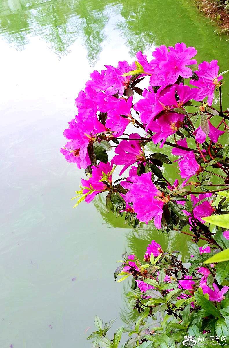 20150315_092718.jpg