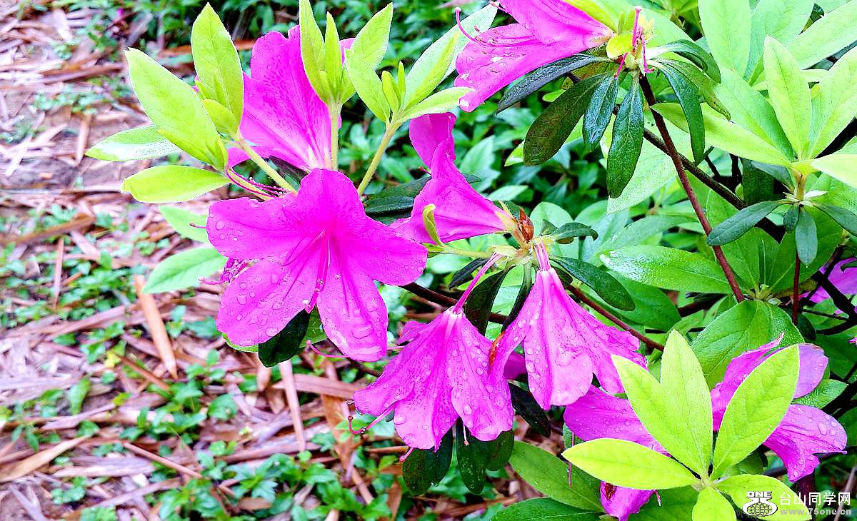 20150315_093033.jpg