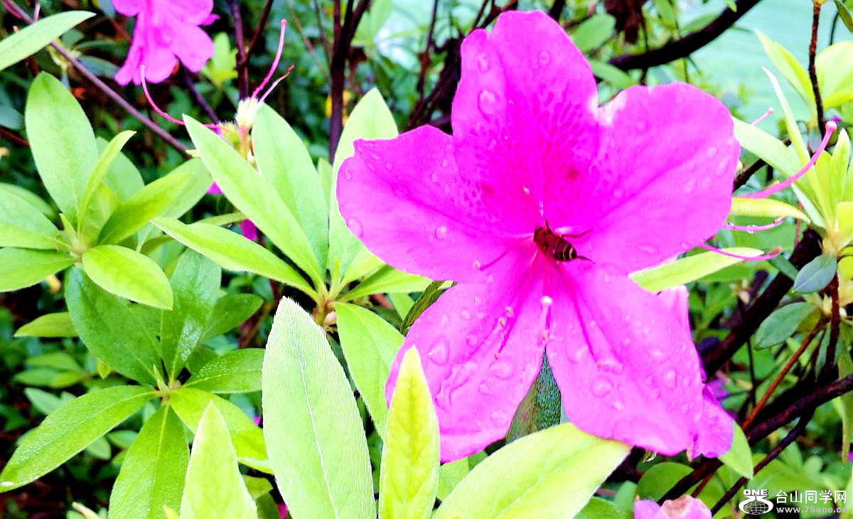 20150315_093143.jpg