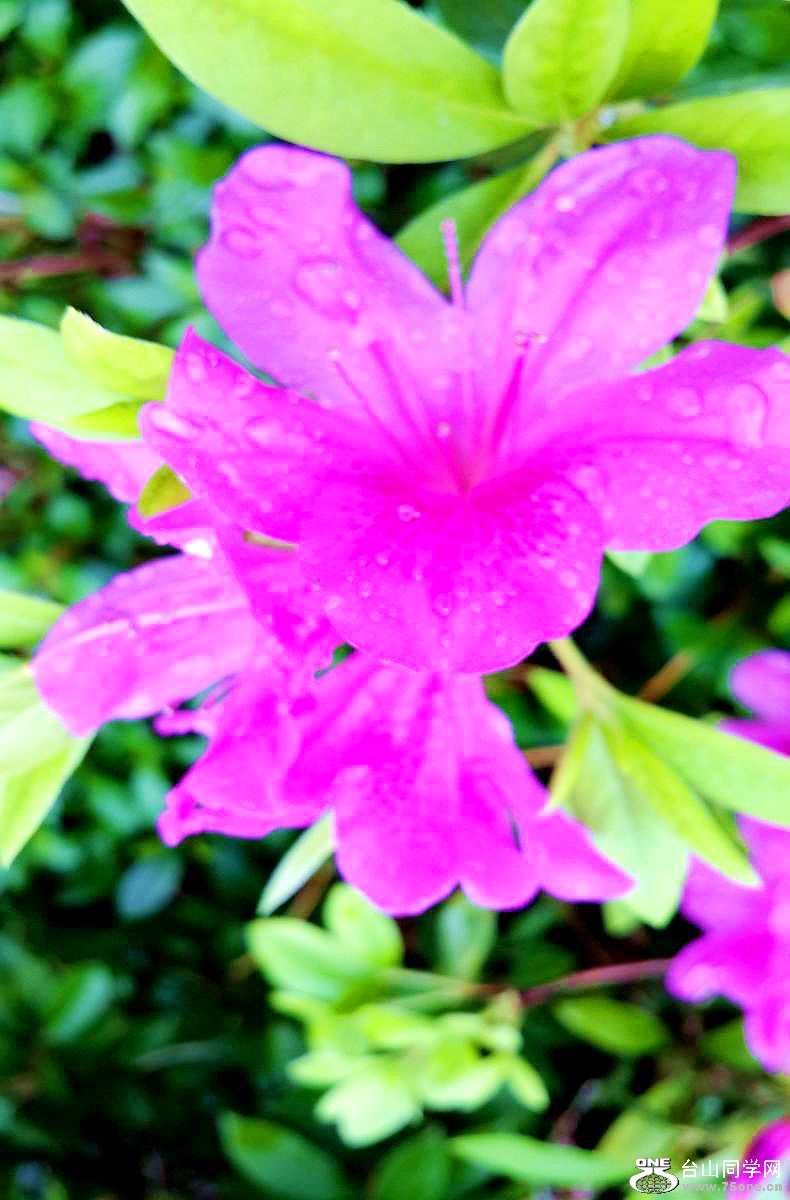 20150315_093325.jpg