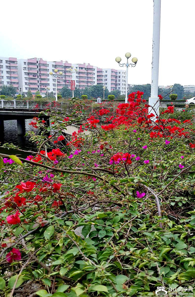 C360_2015-03-10-13-35-30-374.jpg