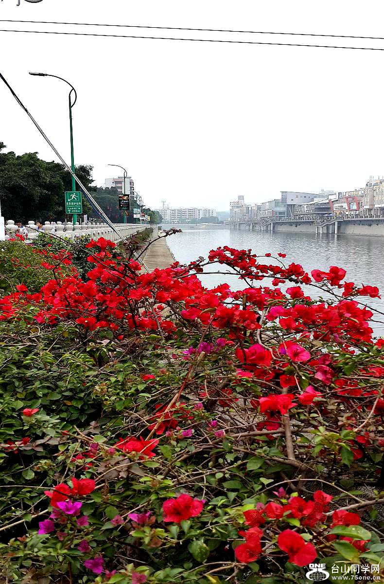 C360_2015-03-10-13-35-56-313.jpg