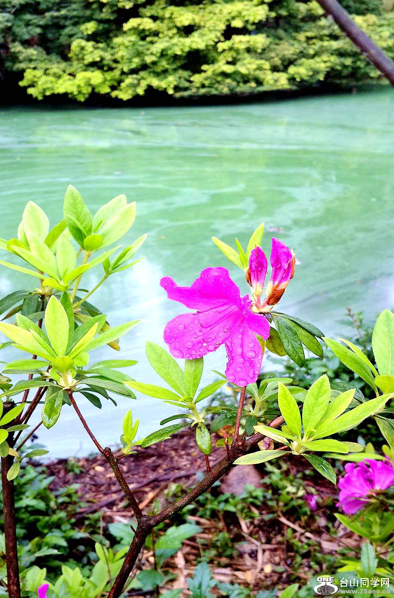 20150315_093338.jpg
