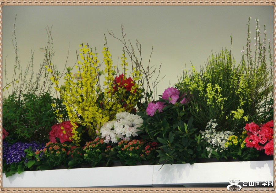 _MG_1811_meitu_55.jpg