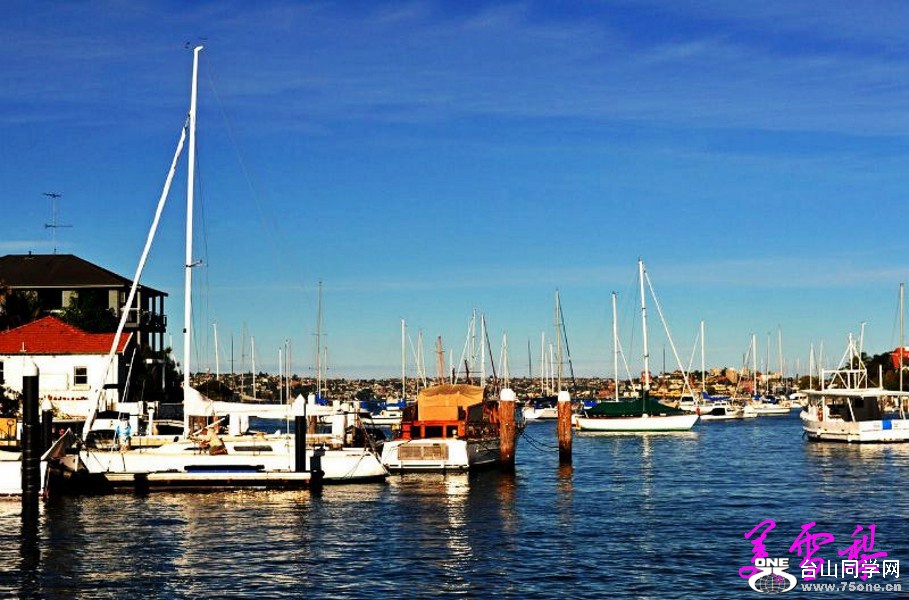 DSC_3922_conew1.jpg