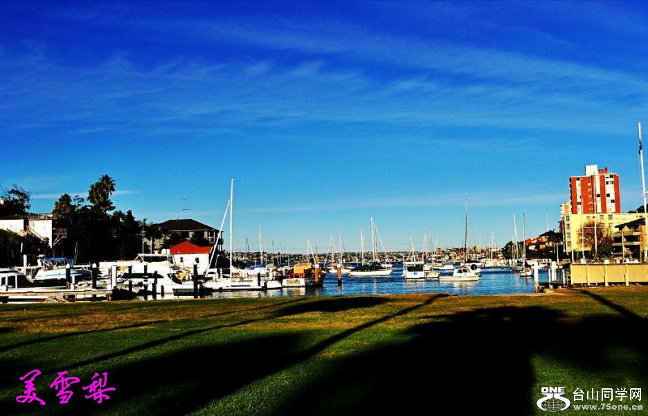DSC_3913_conew1.jpg