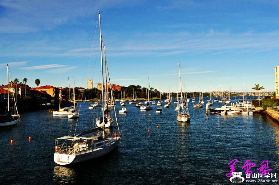 DSC_3931_conew1.jpg