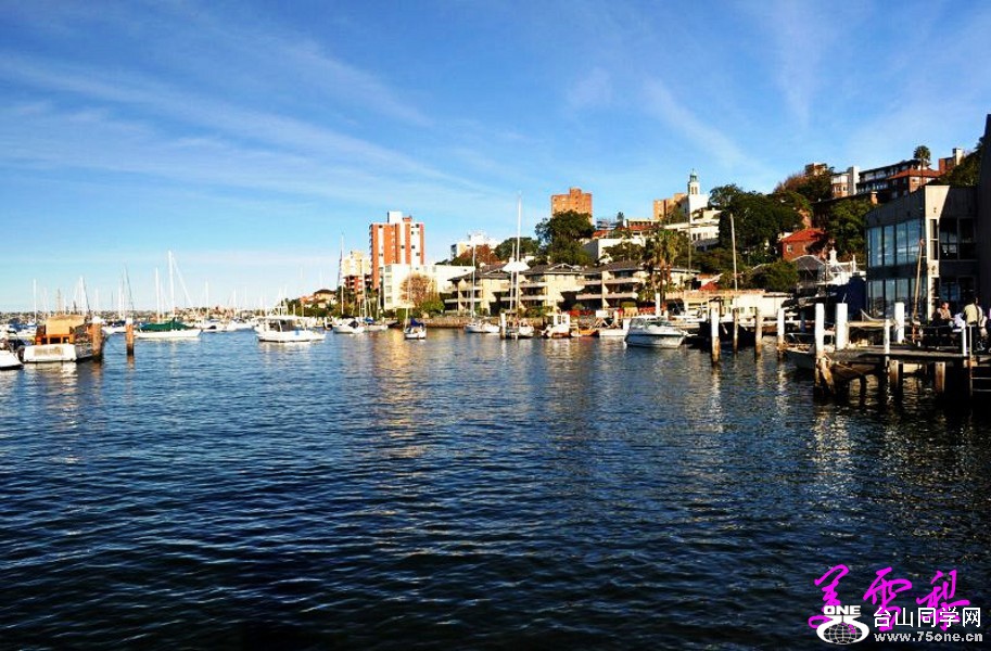 DSC_3920_conew1.jpg