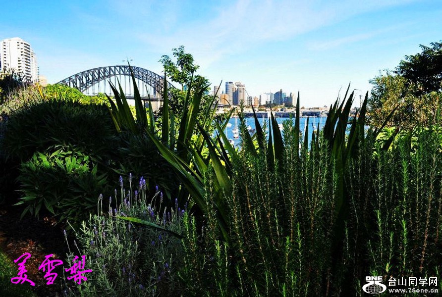 DSC_3848_conew1.jpg