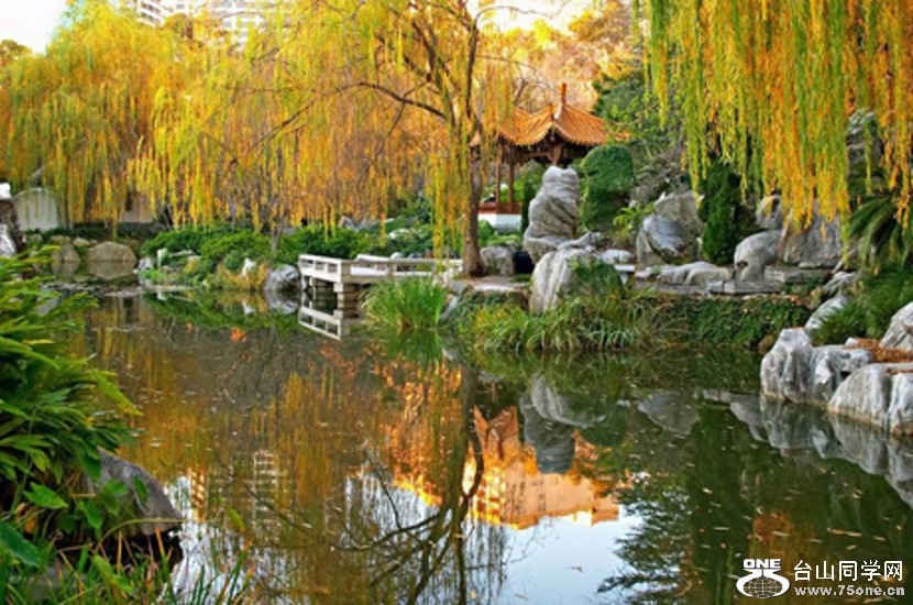 DSC_63c_conew1.jpg