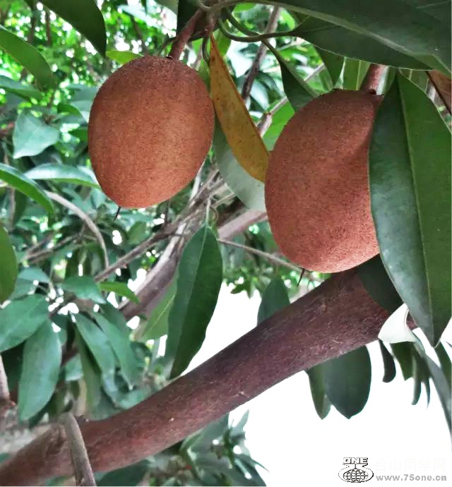 psb_meitu_17.jpg