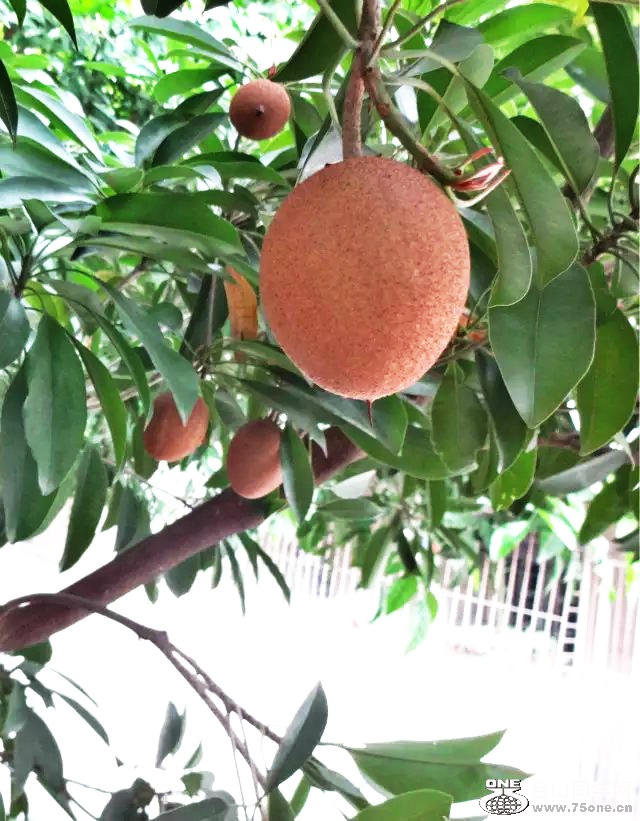 psb_meitu_16.jpg