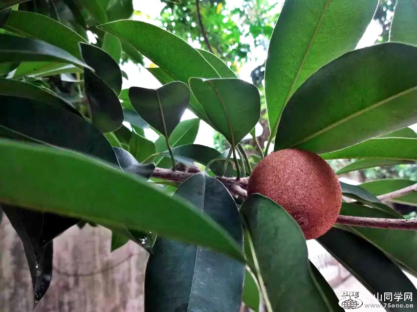 psb_meitu23.jpg