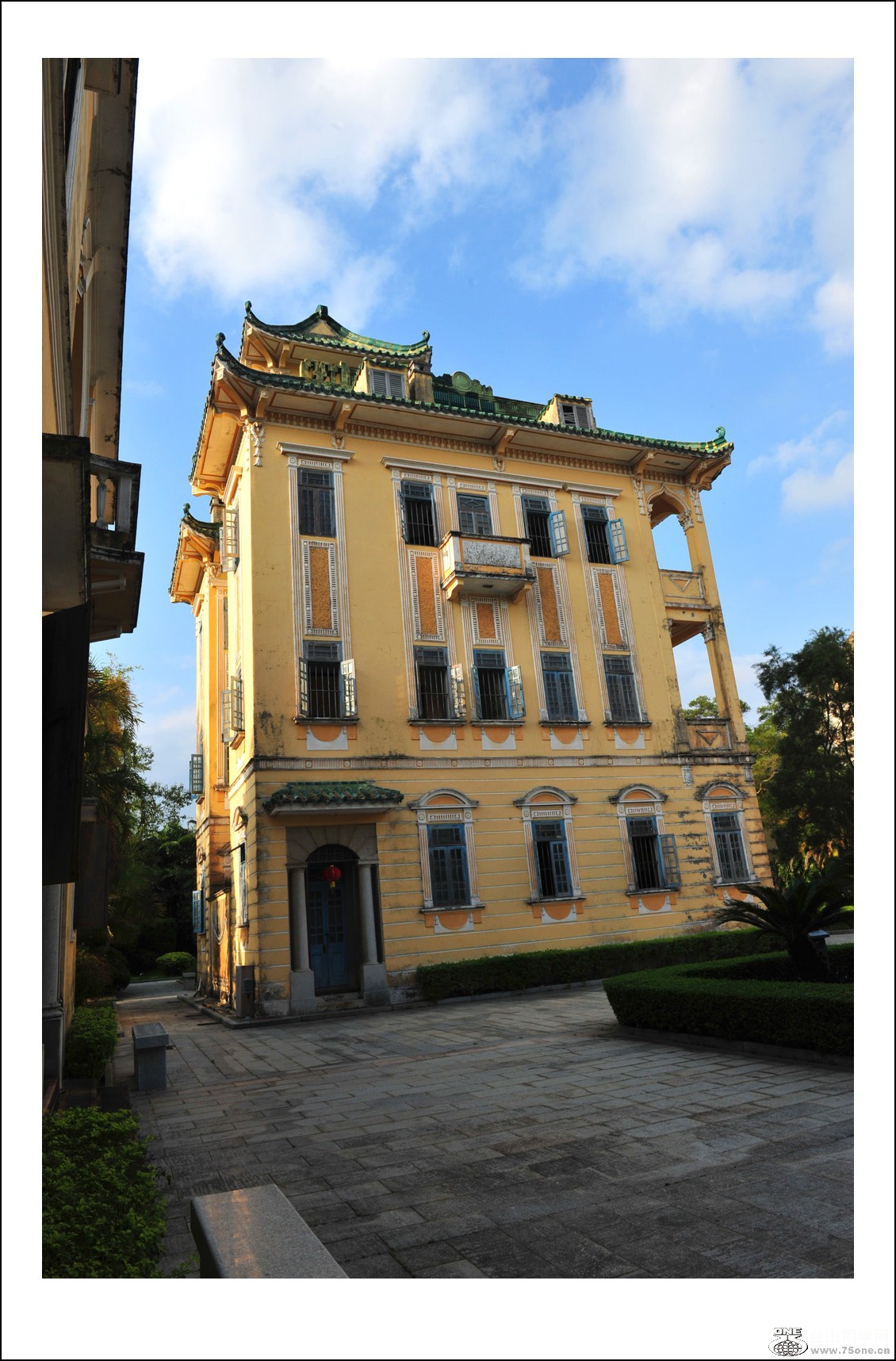 DSC_3036_conew1.jpg