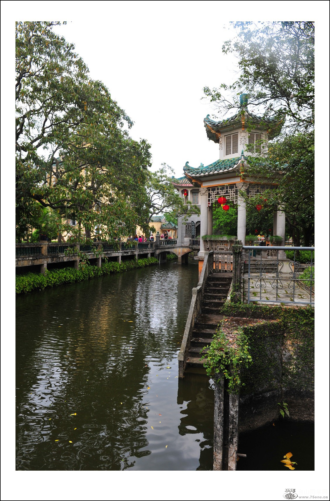 DSC_3008_conew1.jpg