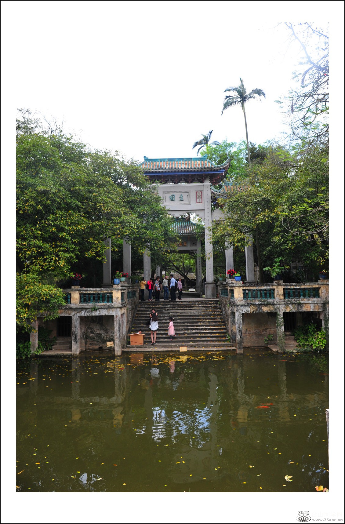 DSC_3003_conew1.jpg