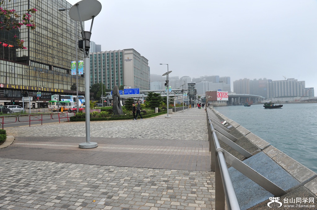 DSC_2528.JPG