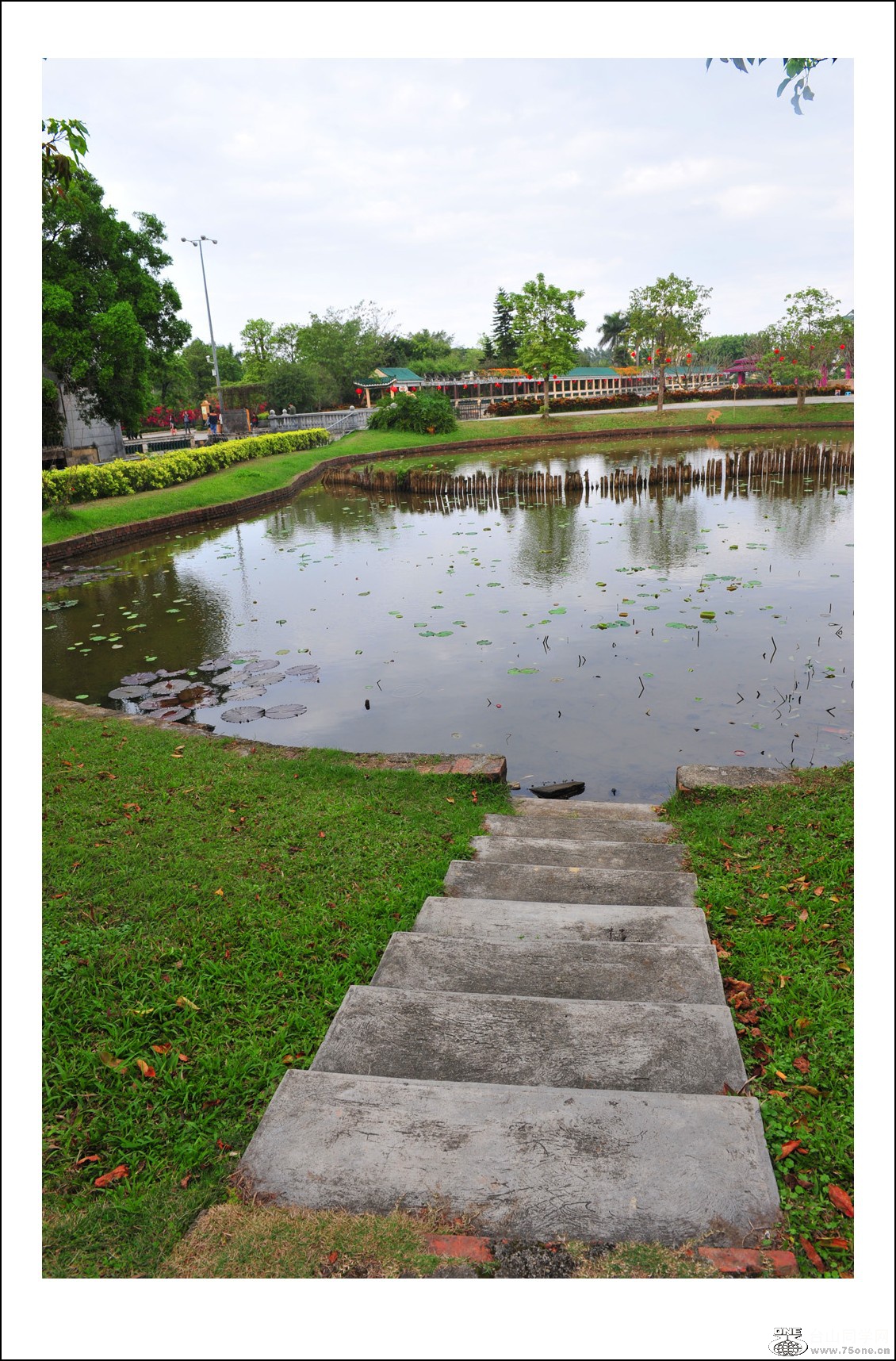 DSC_3009_conew1.jpg