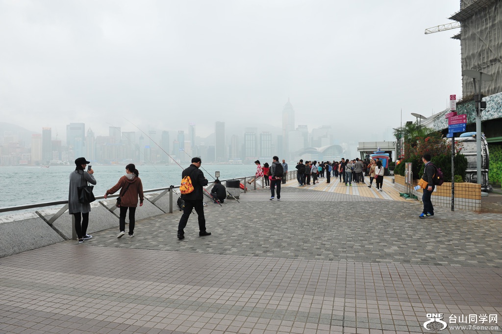 DSC_2582.JPG