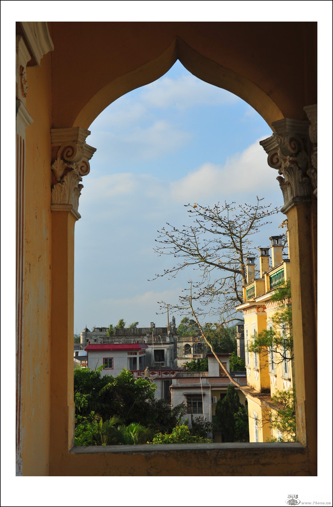 DSC_3068_conew1.jpg