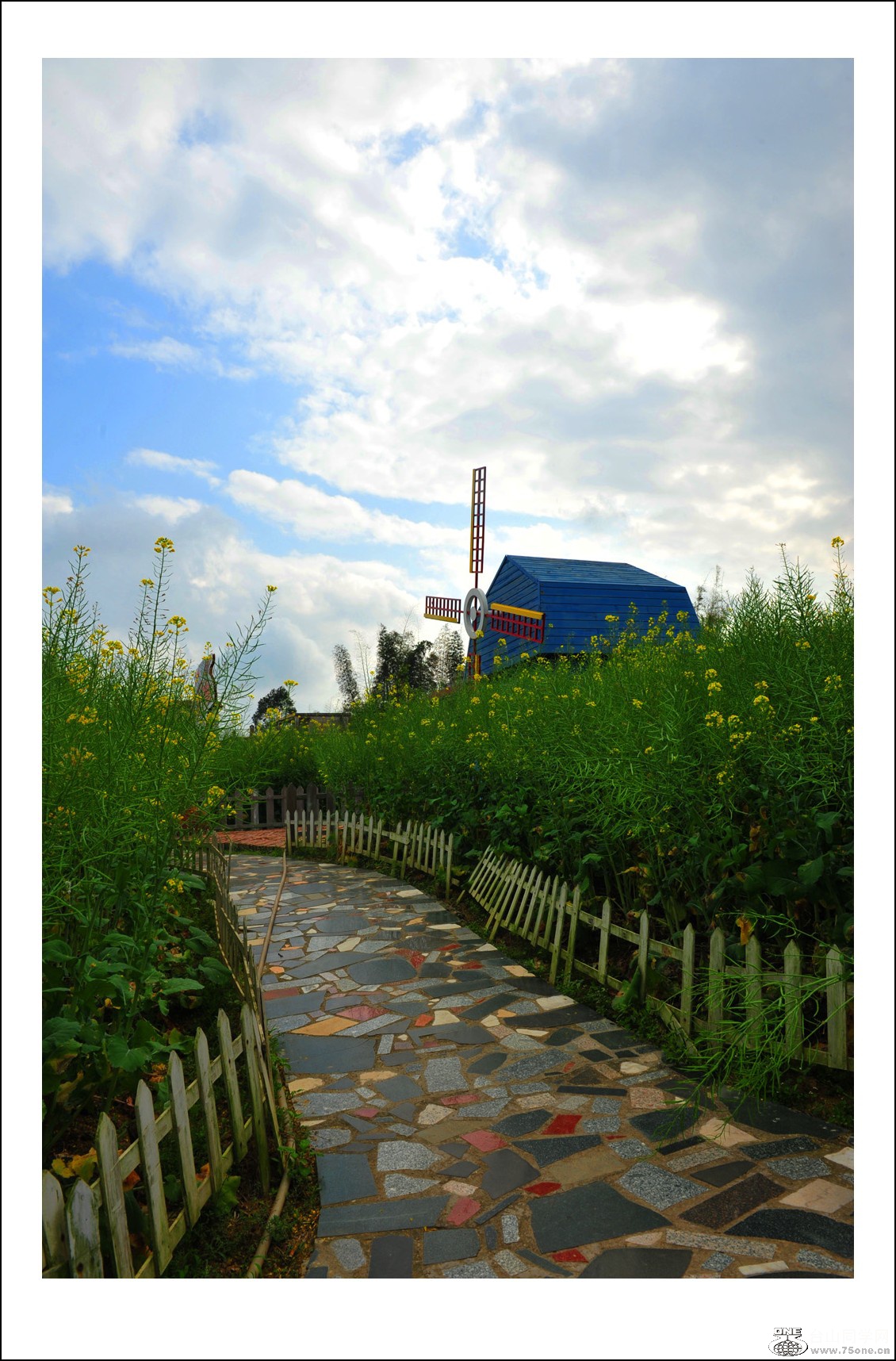 DSC_2940_conew1.jpg