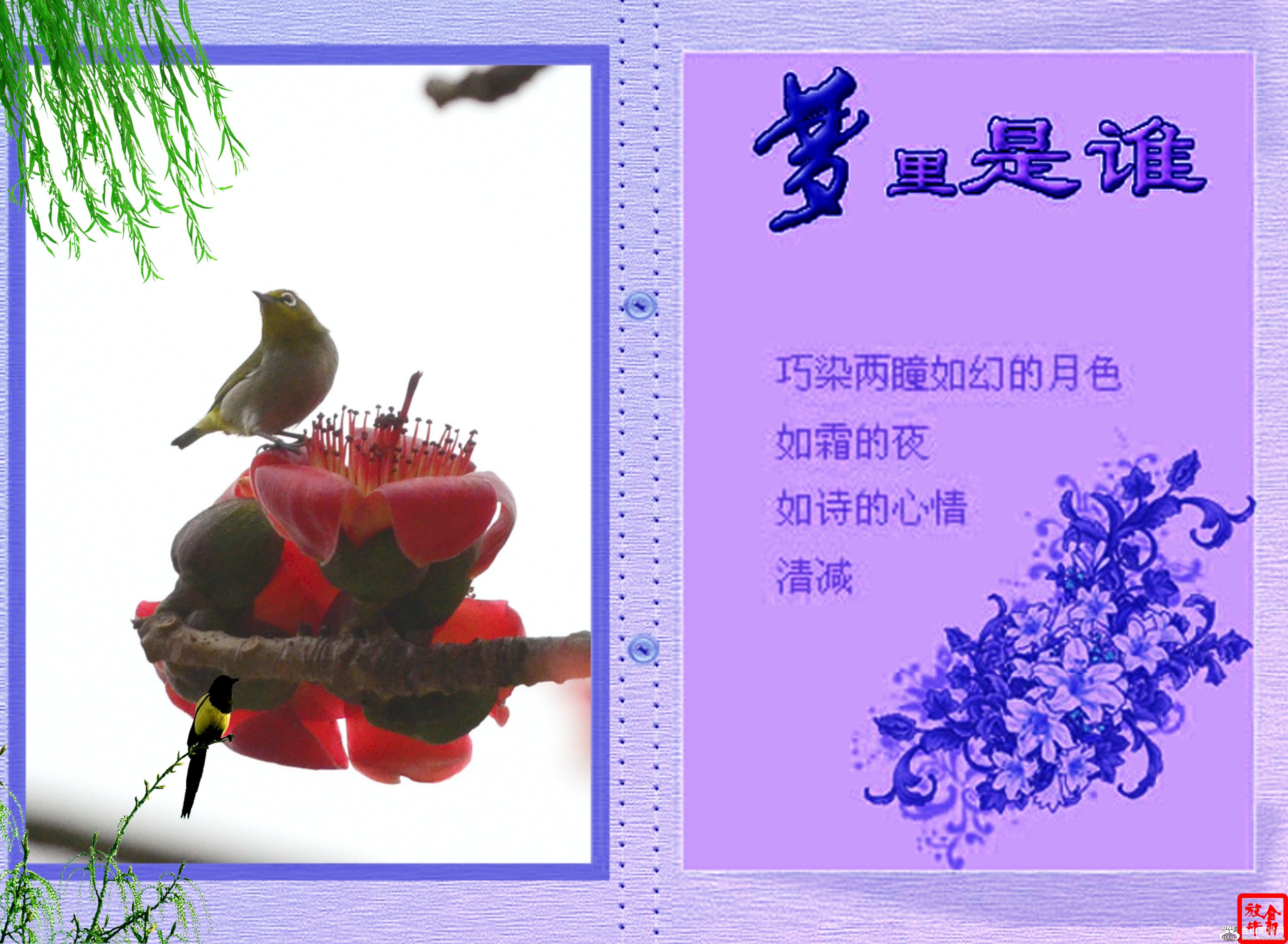 DSC_5713_conew1.jpg