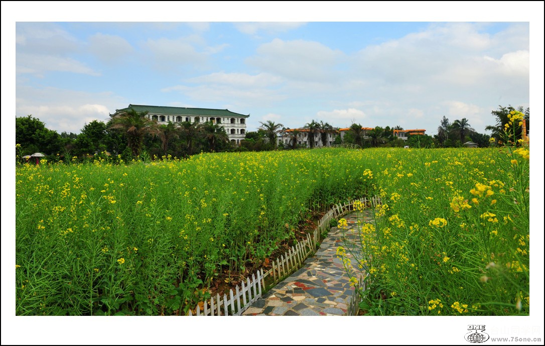 DSC_2945_conew1.jpg