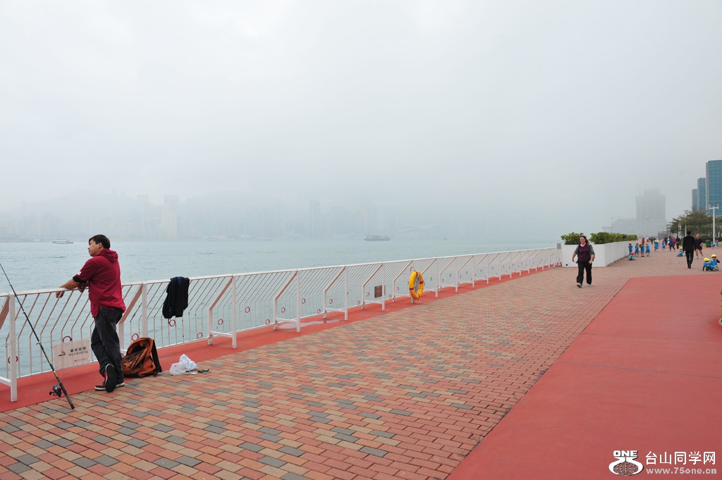 DSC_2338.JPG
