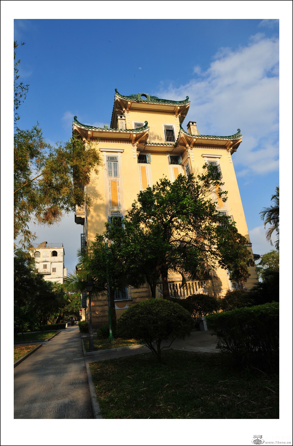 DSC_3041_conew1.jpg