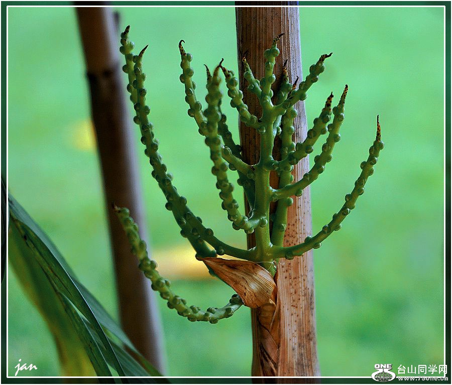 DSC03101-a.jpg