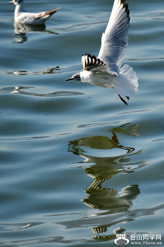 301_8437aa.jpg