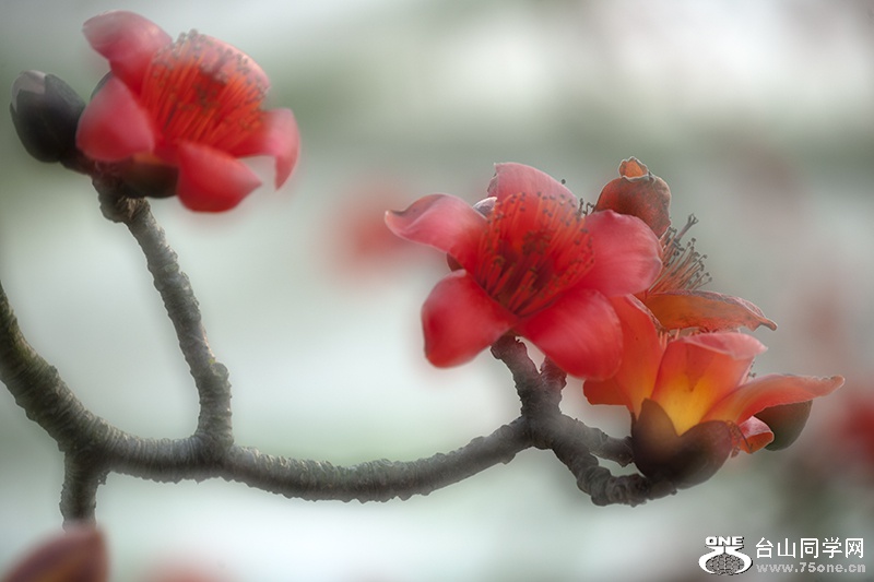 DSC_0580aa.jpg