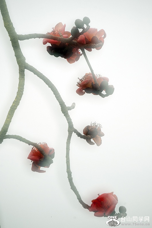 301_0403aa.jpg