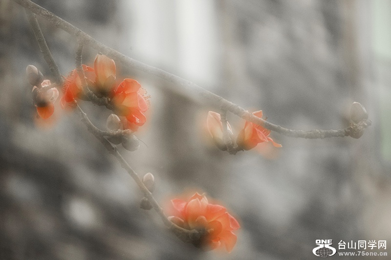 301_0463aa.jpg