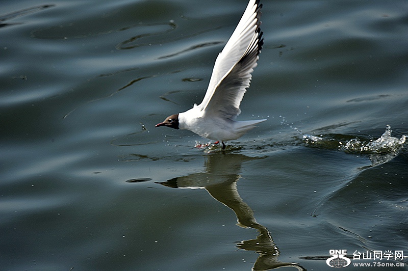 301_7971aa.jpg