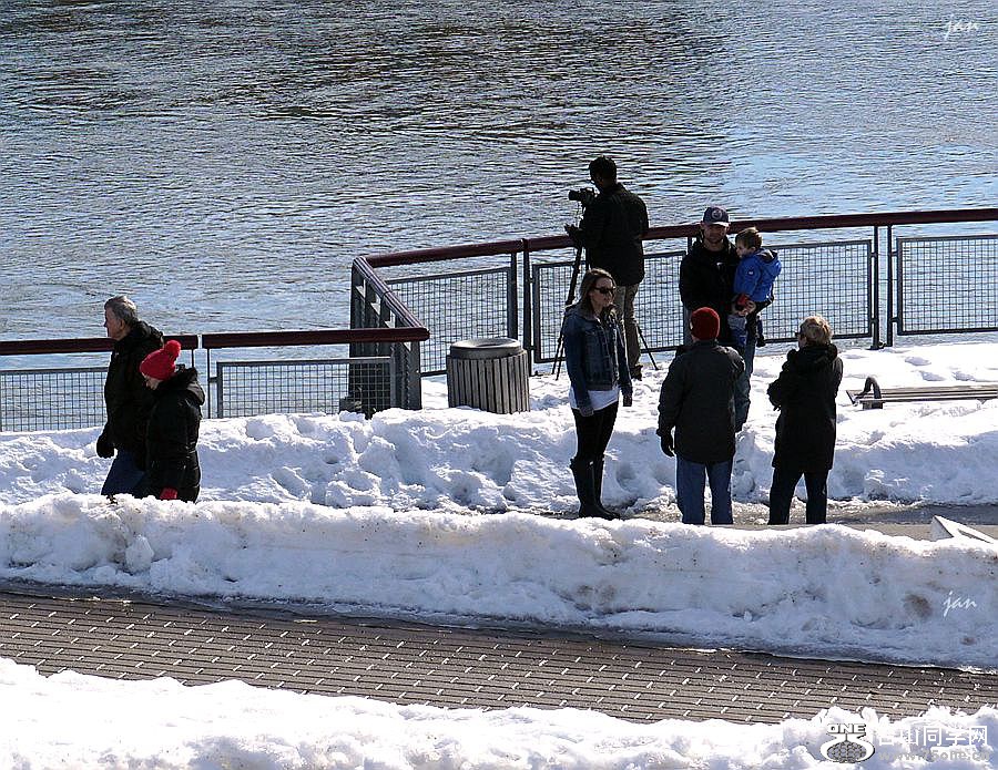 DSC03759_.jpg