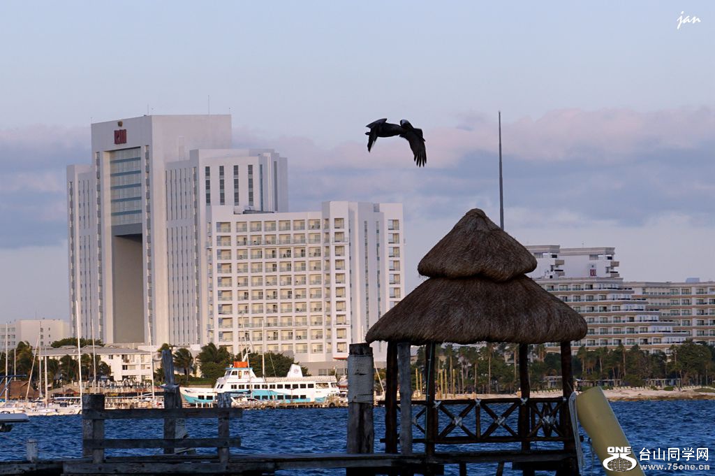 DSC02131_.jpg