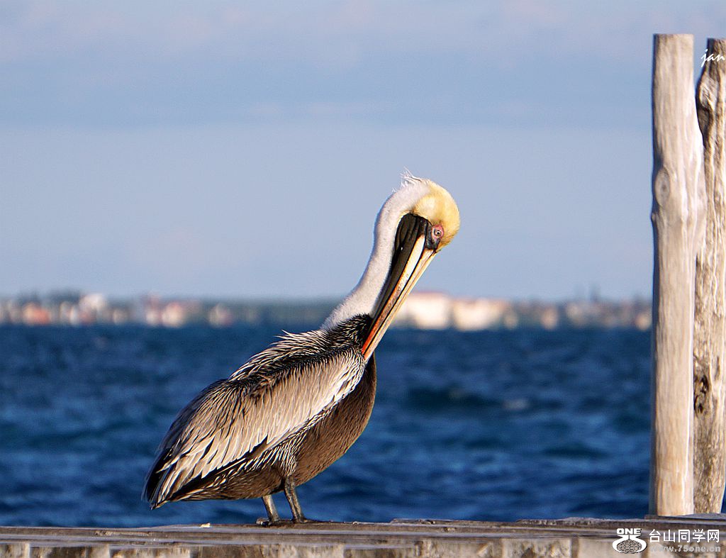 DSC02178_.jpg