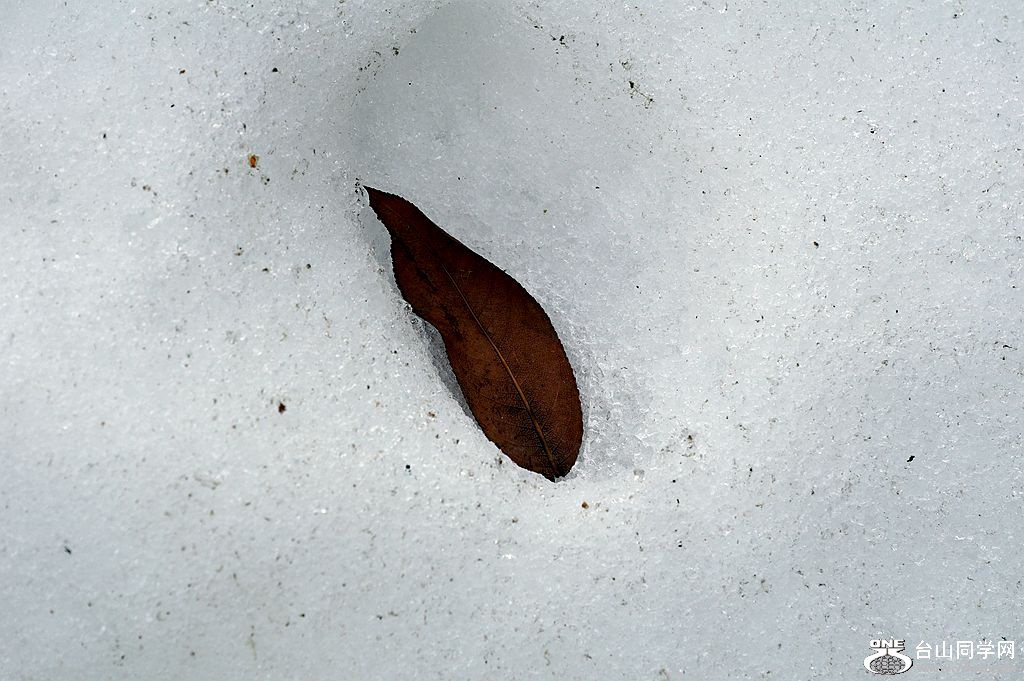 DSC03896.JPG