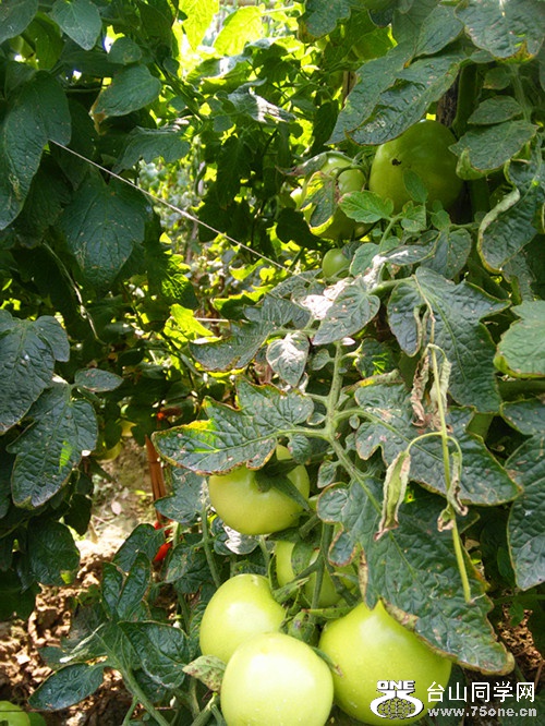 IMG20150330153325_.jpg