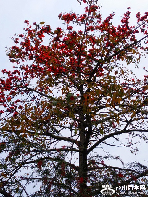 IMG20150323113914_.jpg