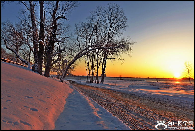 DSC_2226.jpg