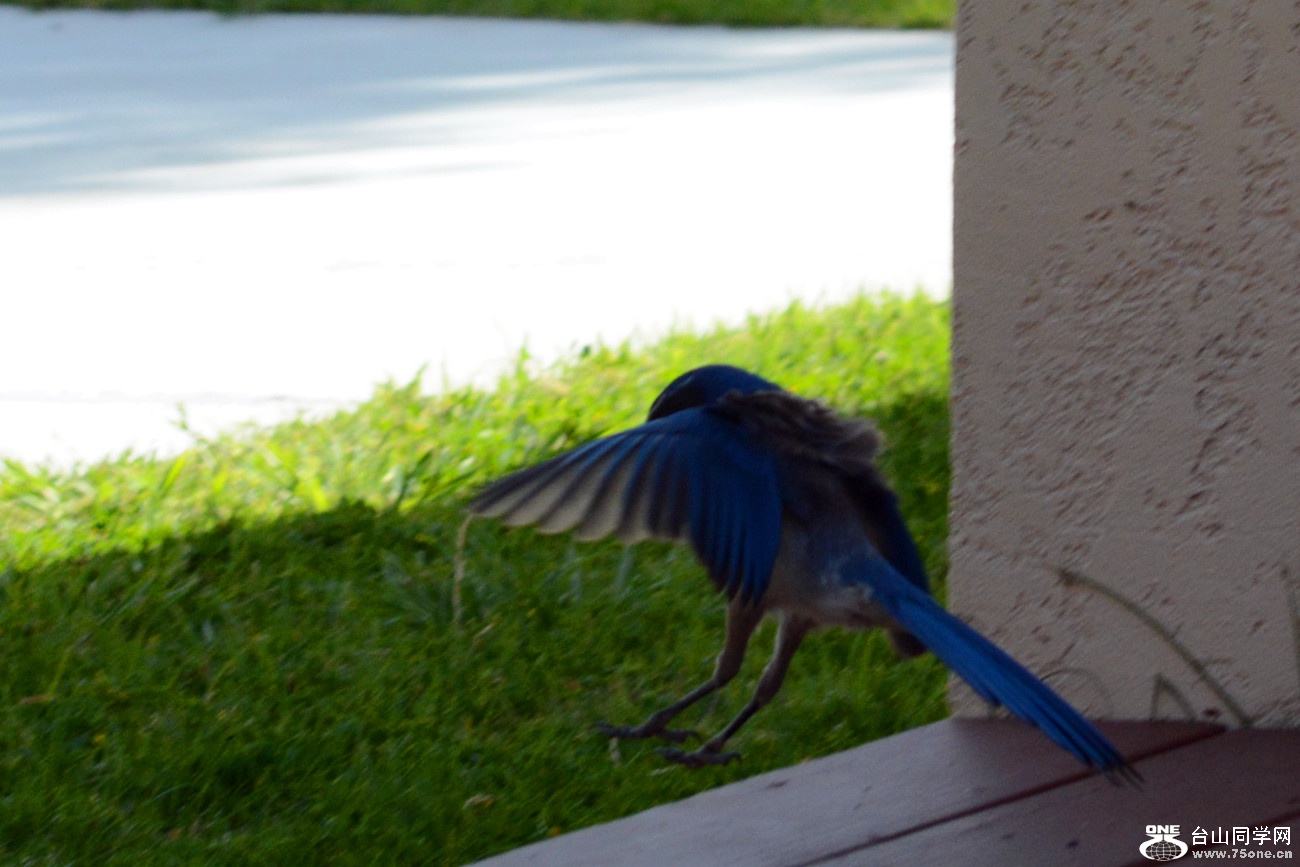 DSC_6722_13.jpg