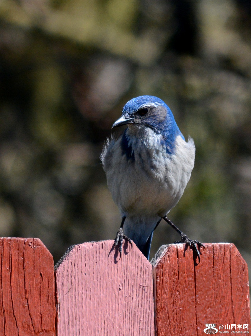 DSC_4266_19.jpg
