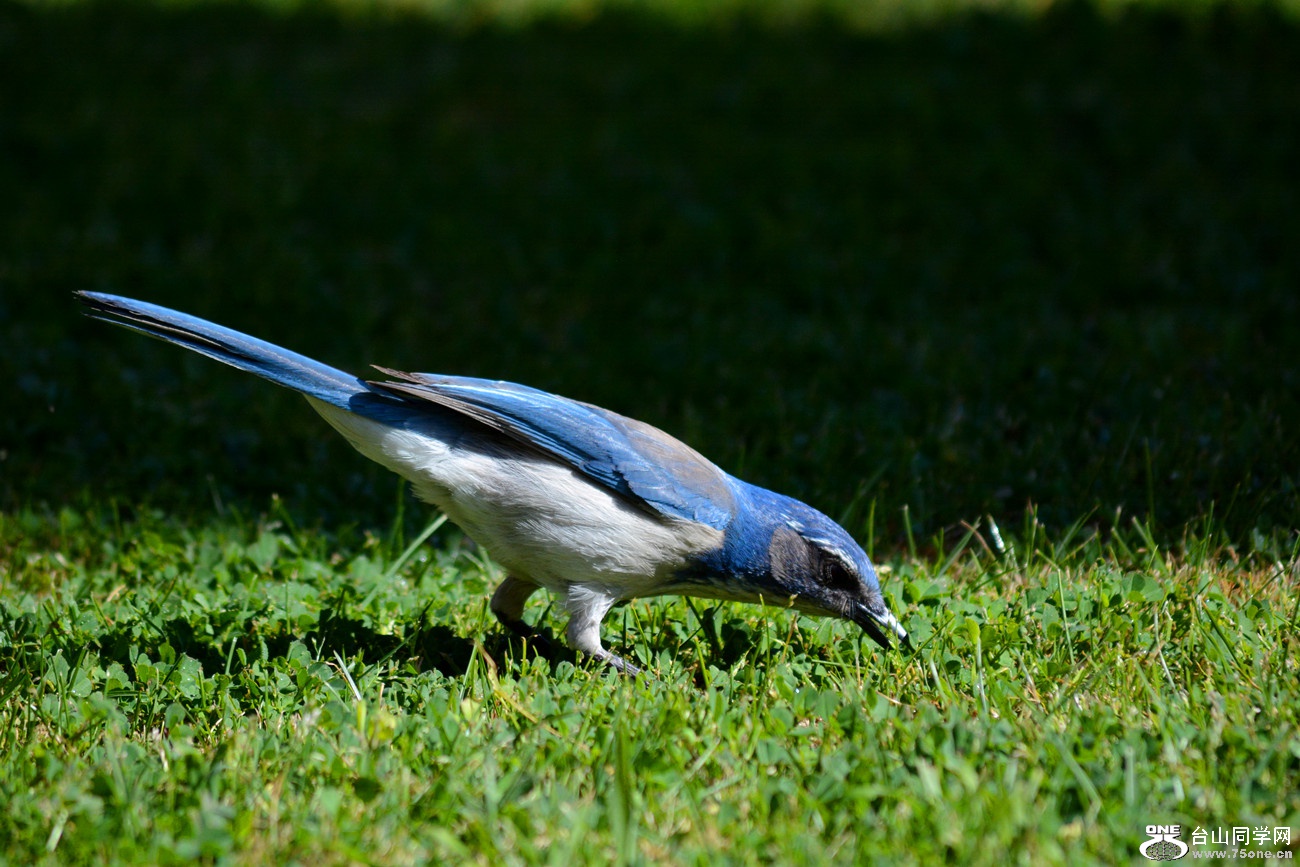 DSC_4267_10.jpg