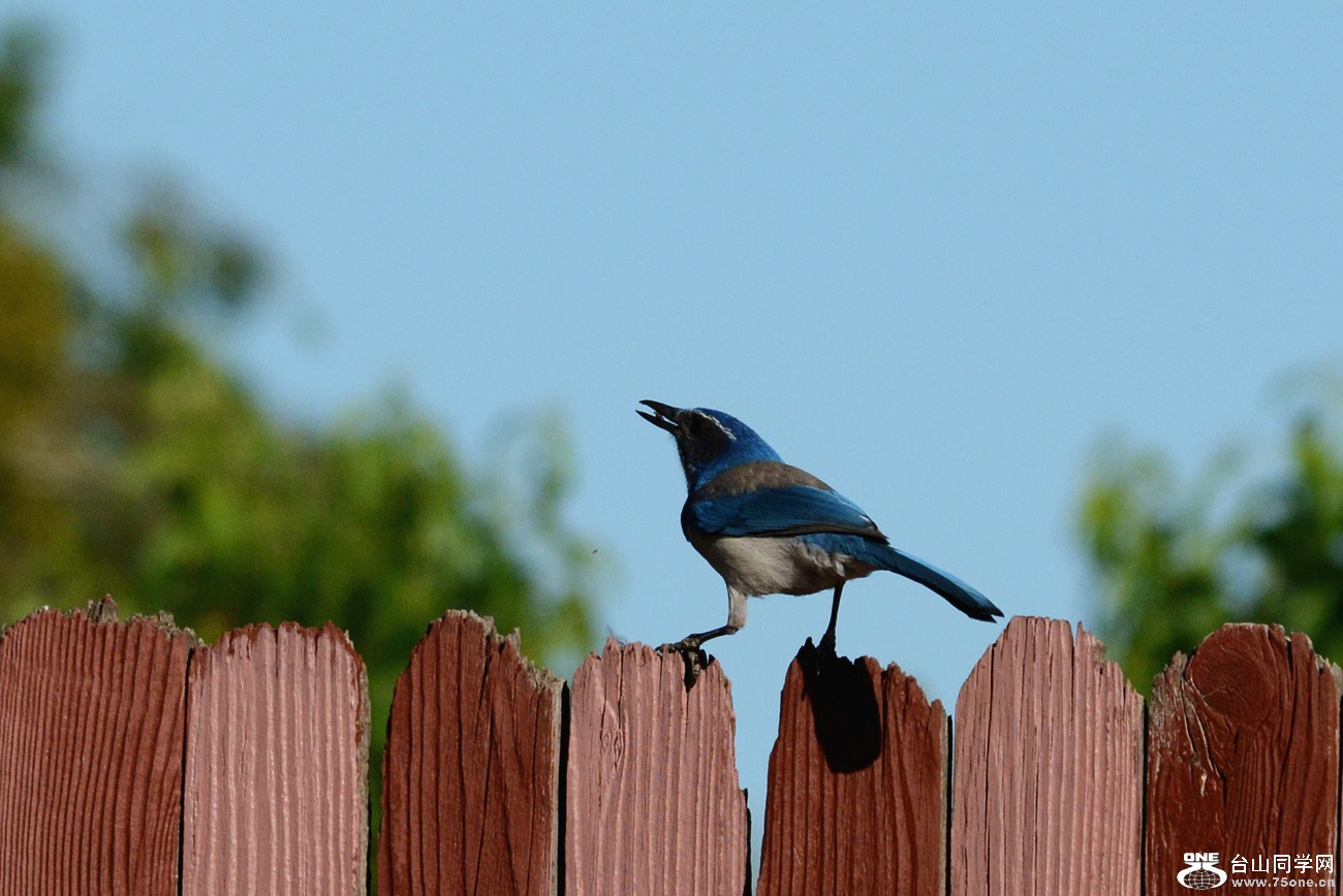 DSC_6537_45.jpg
