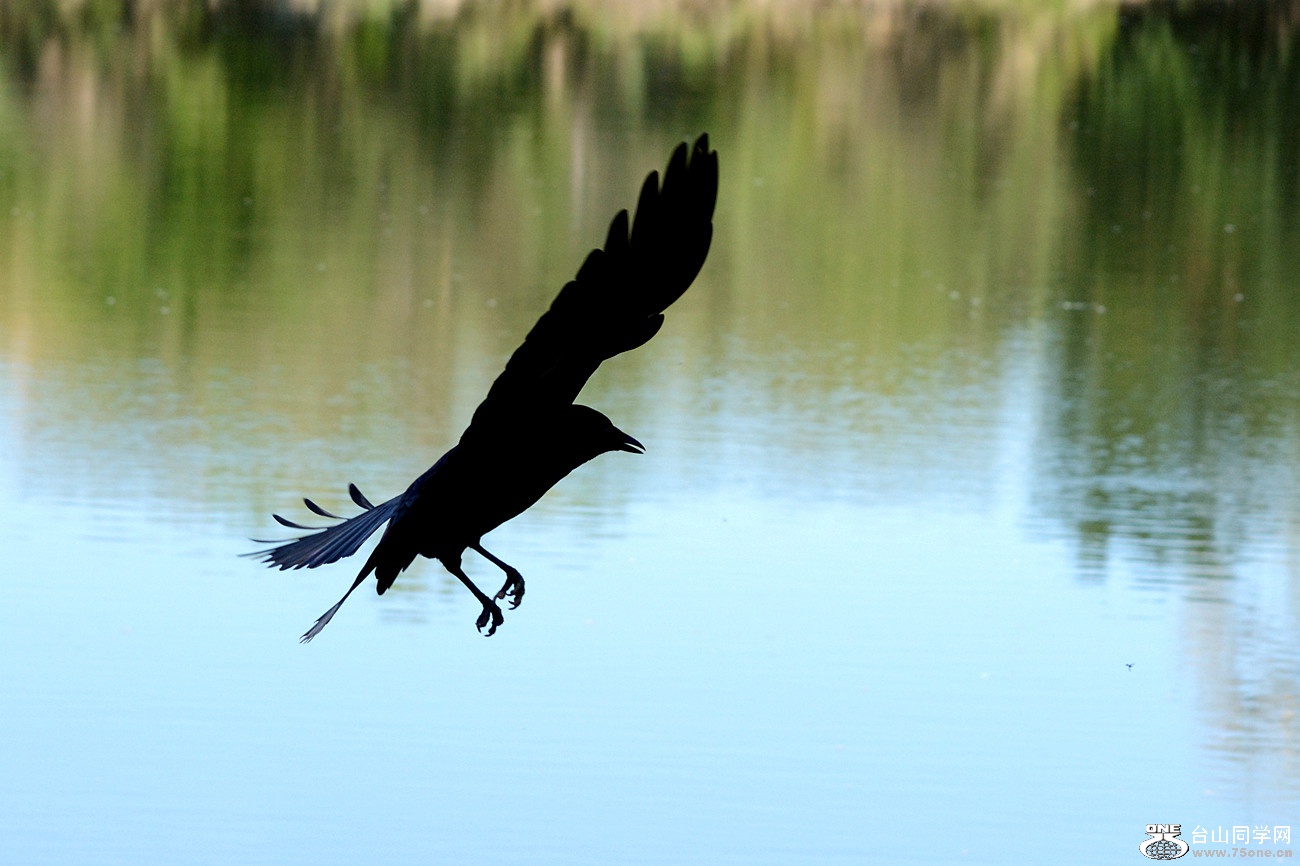 DSC_8794_020.jpg