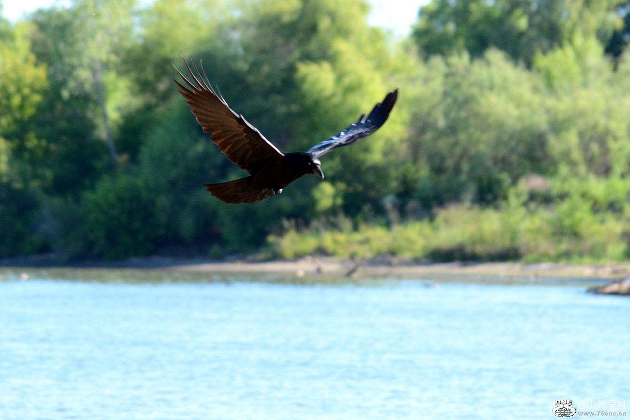 DSC_7734_1.jpg