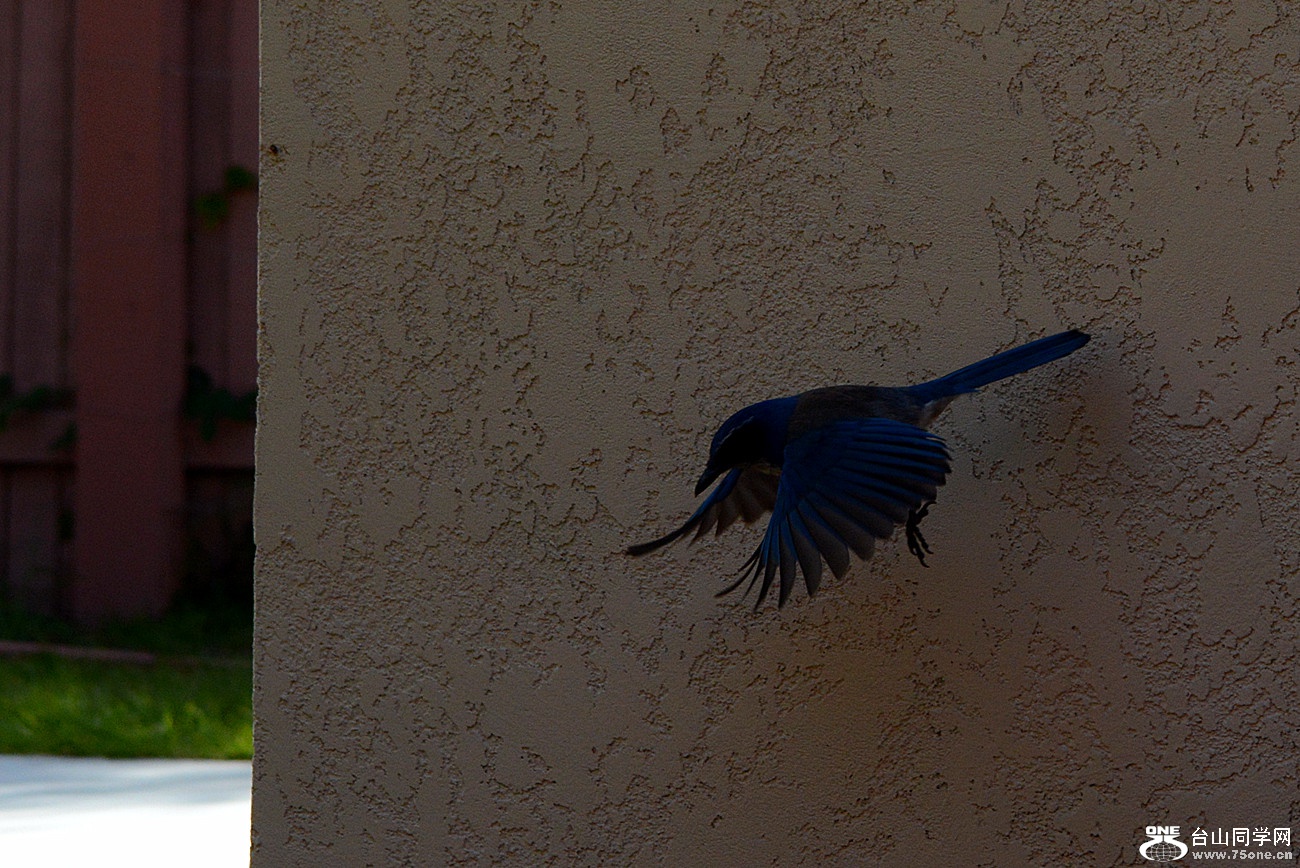 DSC_6721_14.jpg