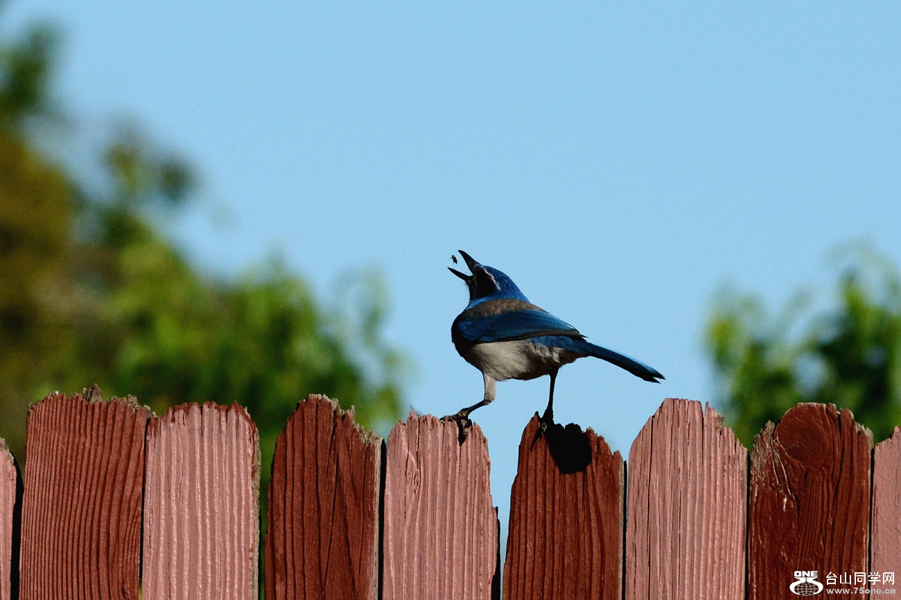 DSC_6536_46.jpg